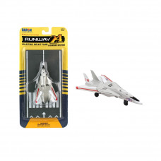 AIRCRAFT MODEL 1:XXX RUNWAY-24 F-14 TOMCAT RW110